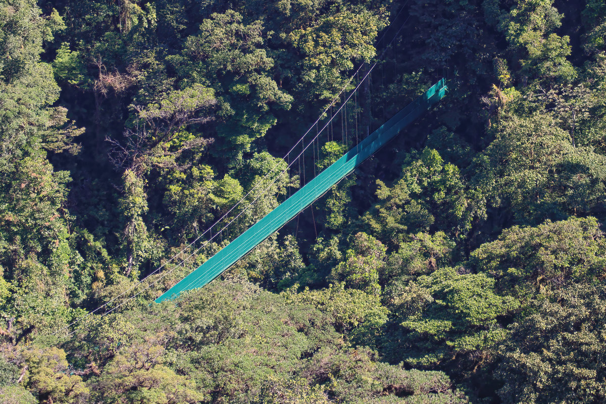 Hängebrücke über den Baumkronen des Nebelwalds von Monteverde in Costa Rica