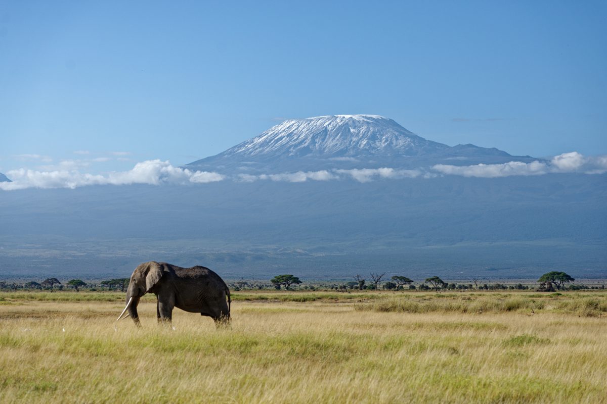Routenstopp Amboseli in Kenia
