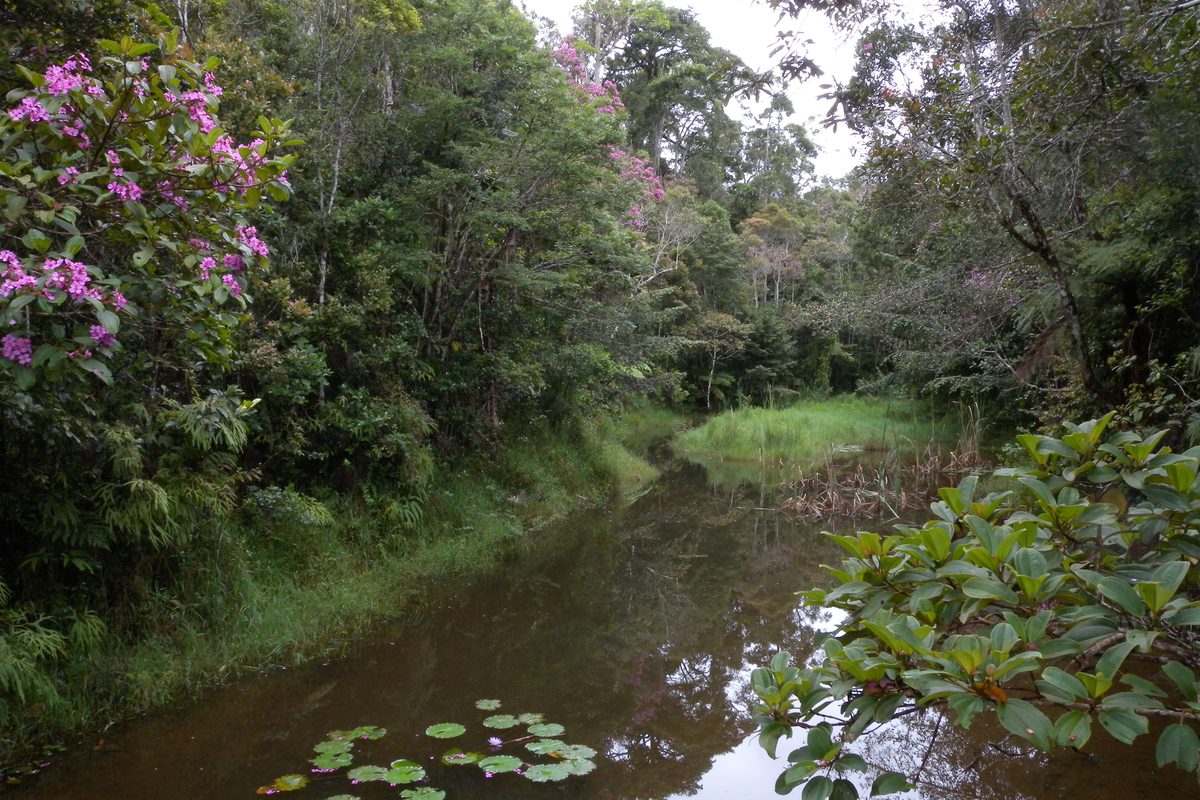 Routenstopp Andasibe in Madagaskar