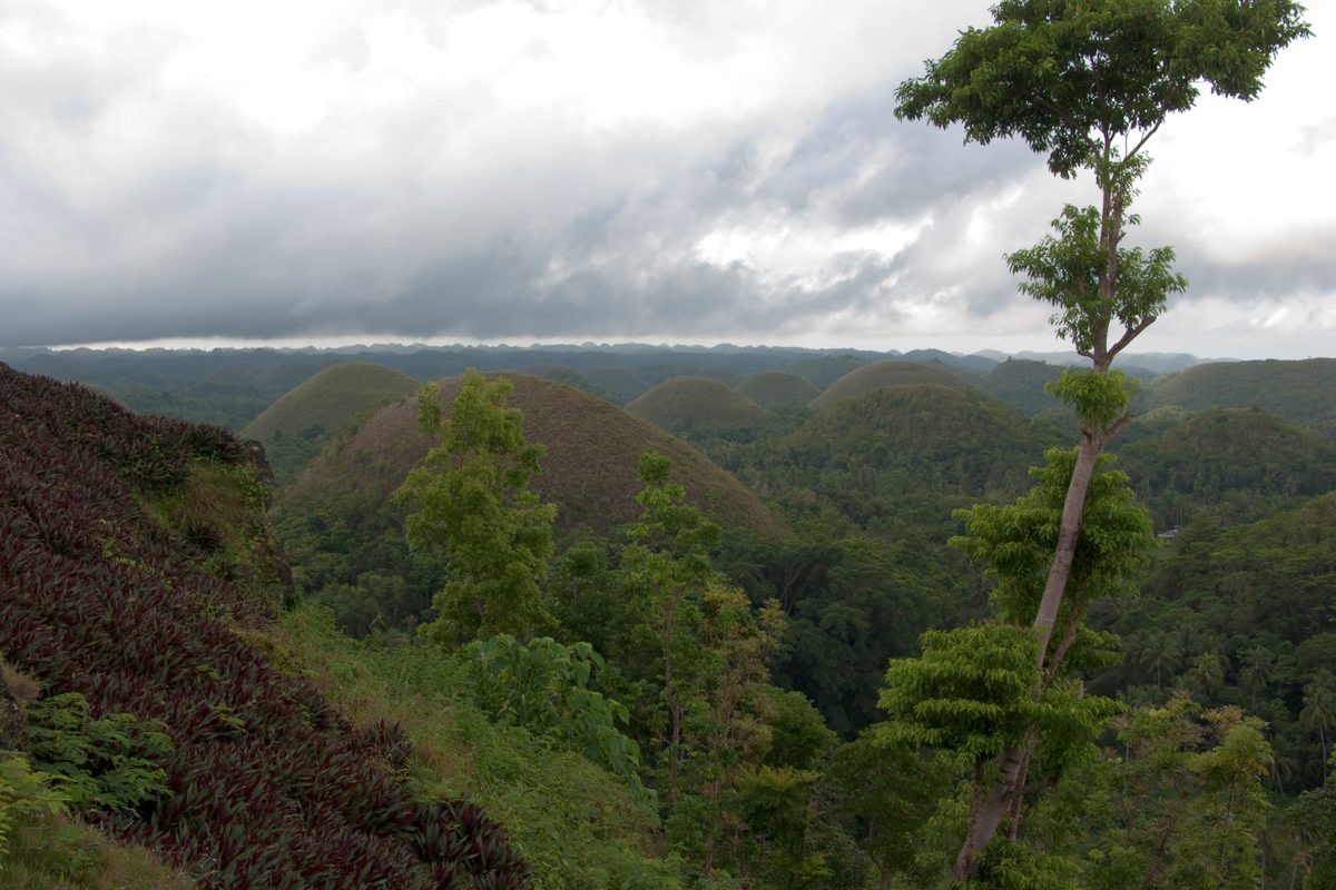 Routenstopp Bohol in Philippinen