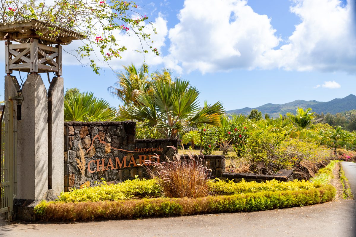 Routenstopp Chamarel & Black River Gorges in Mauritius