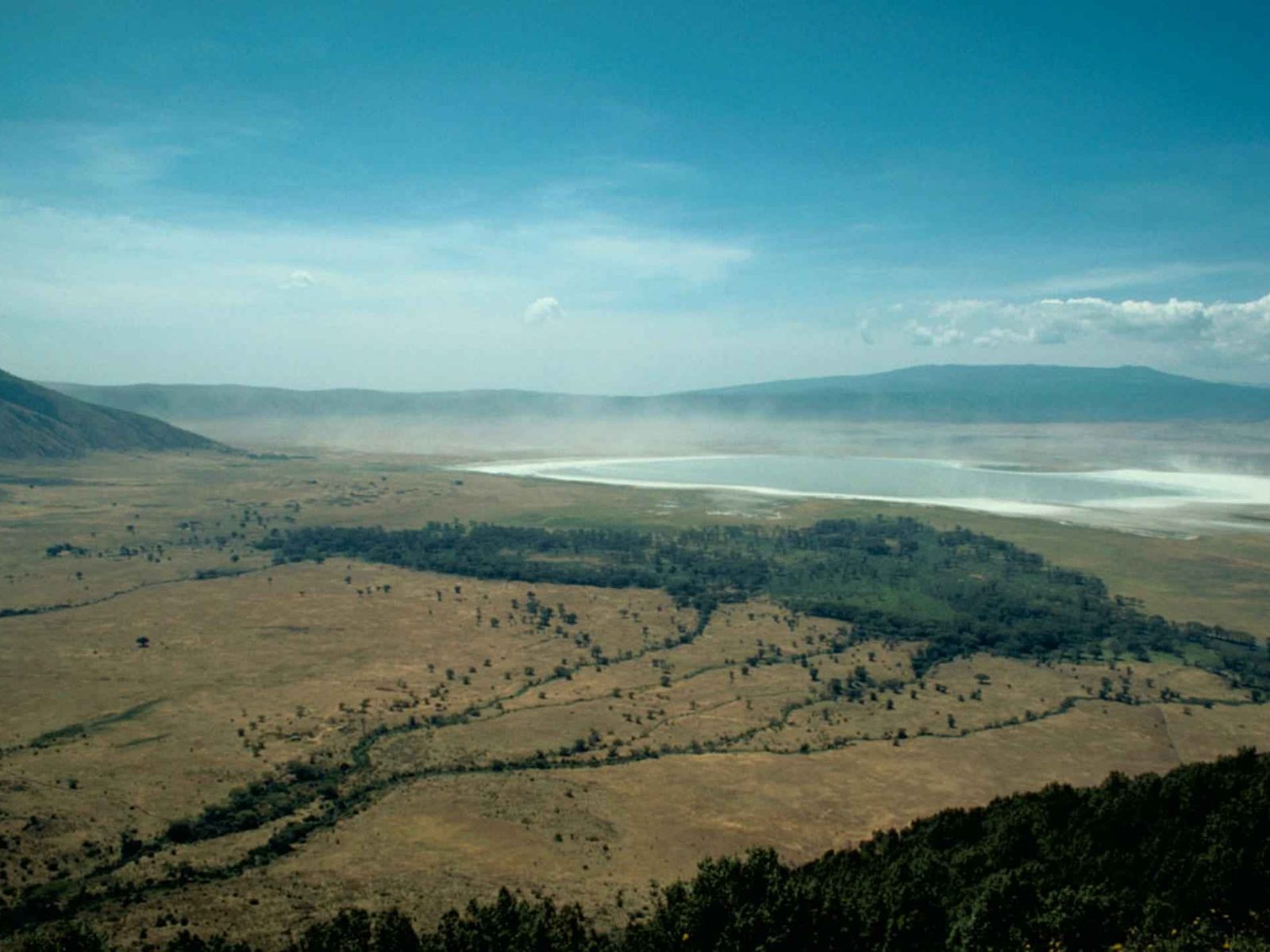 Blick über die weite Kraterlandschaft des Ngorongoro
