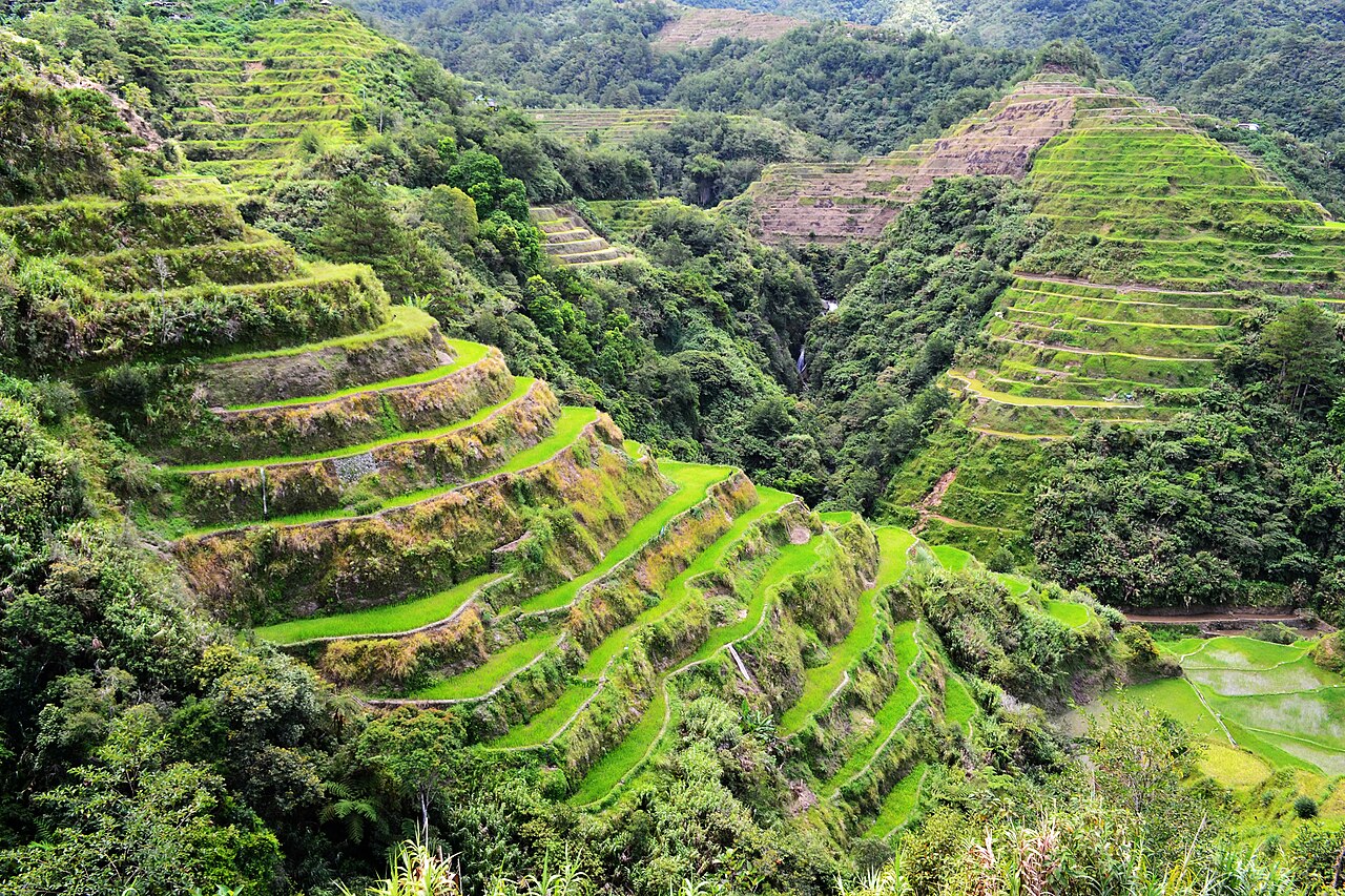 Grüne kegelförmige Chocolate Hills auf Bohol im Abendlicht
