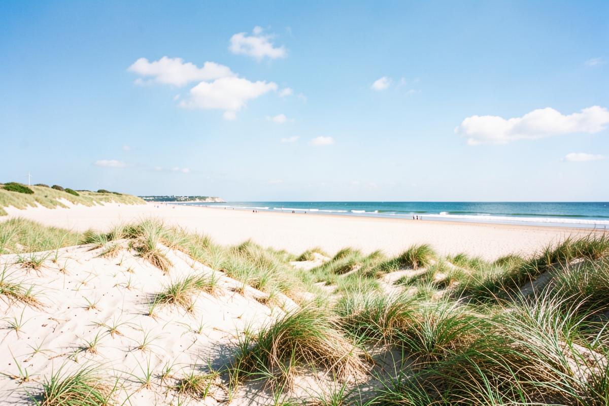Weiter Sandstrand mit Dünengras an der dänischen Nordseeküste