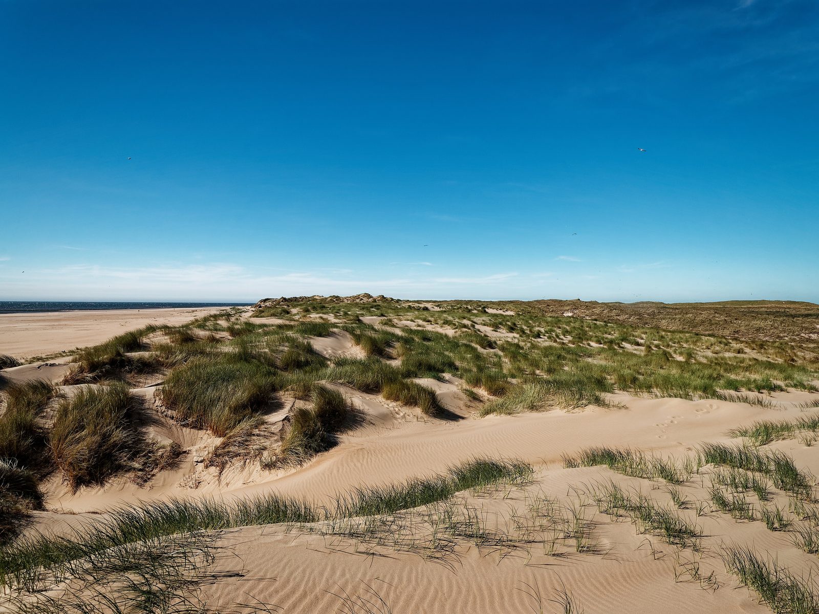 Breiter Sandstrand an der Nordseeküste