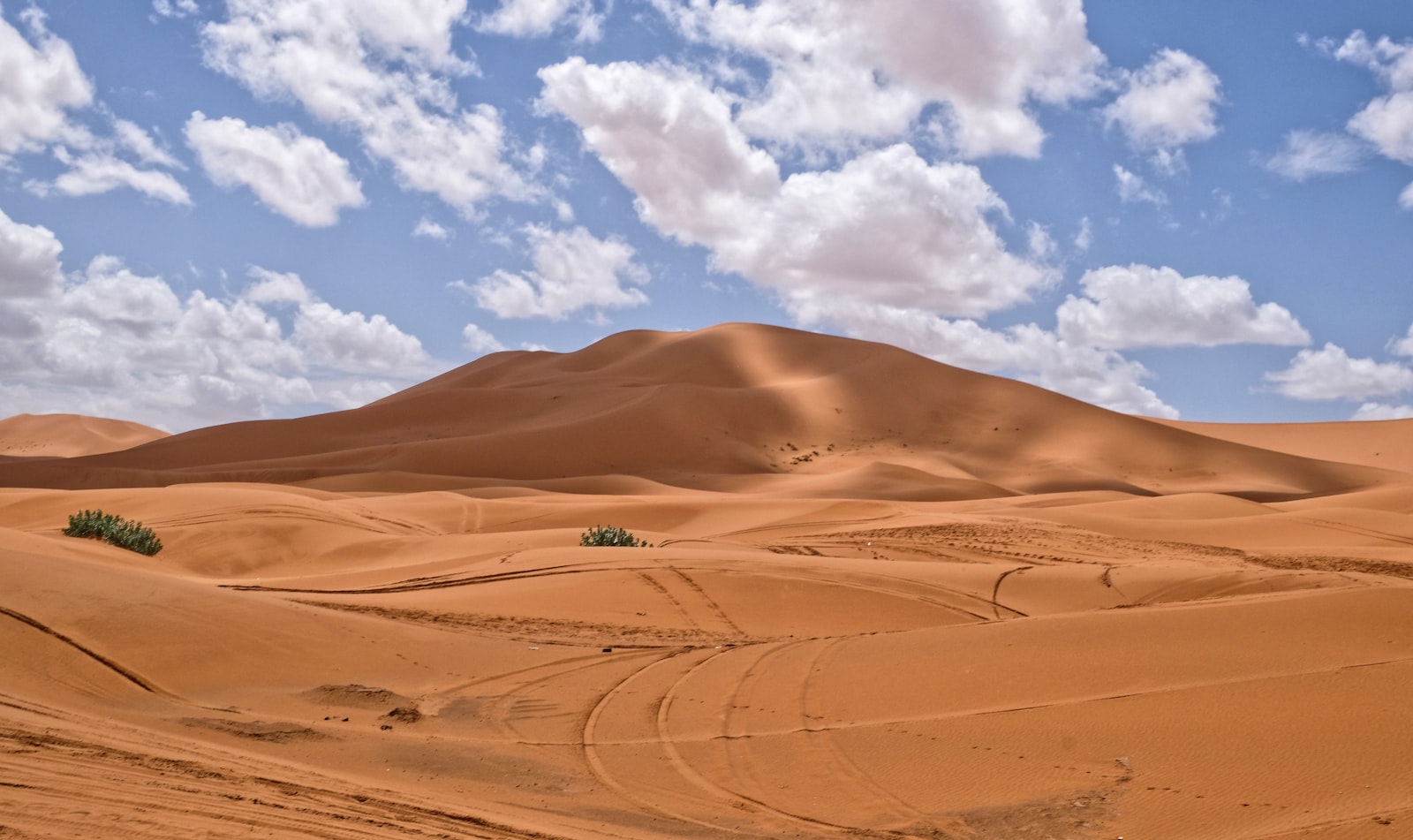 Orangefarbene Sanddünen unter blauem Himmel