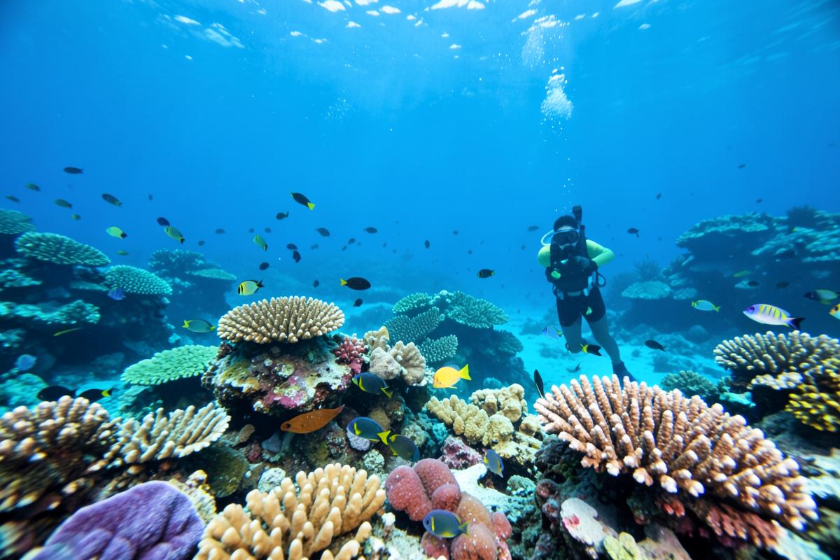 Türkisfarbene Lagune mit Wasservillen im Baa-Atoll