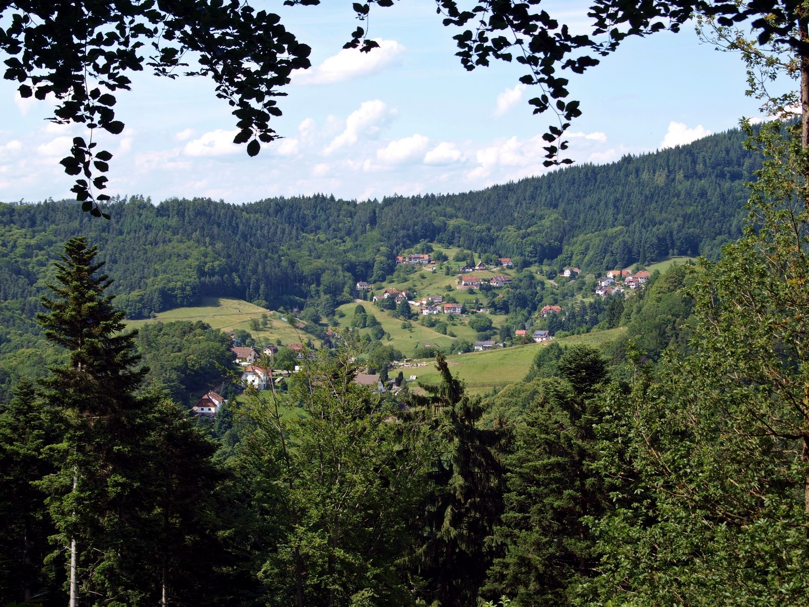 Bewaldete Täler und Tannenhänge im Schwarzwald