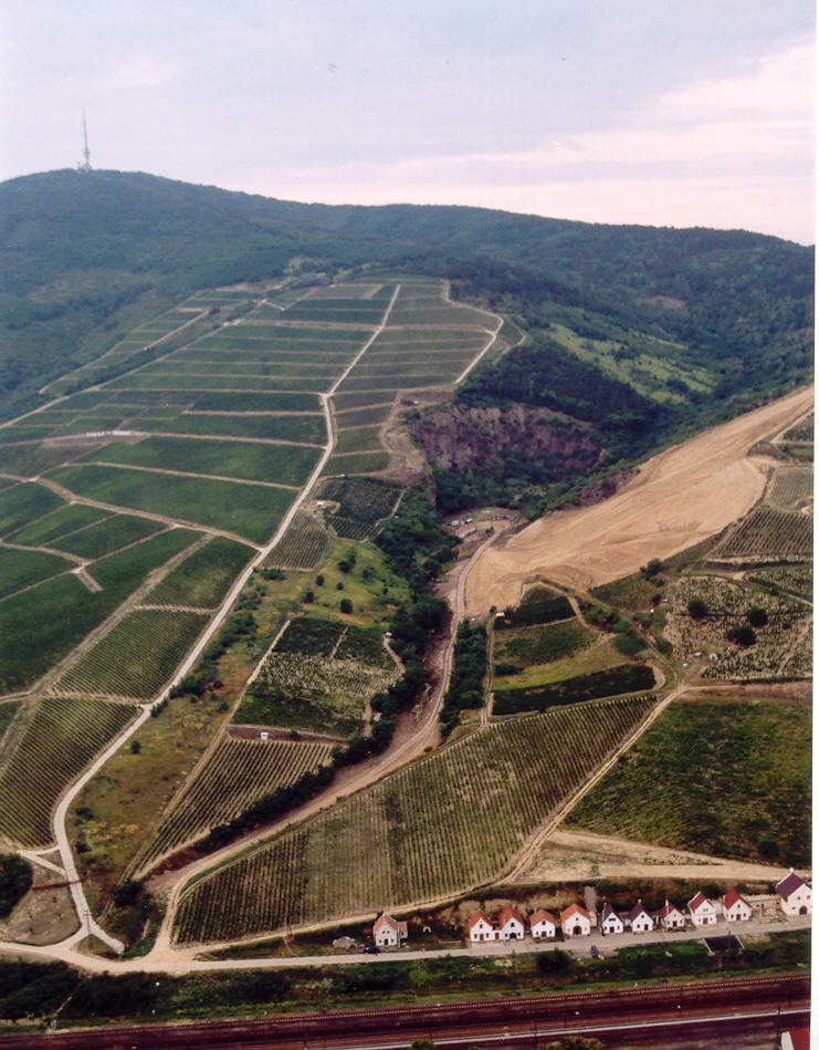 Weinberge der Tokaj-Region in Ungarn