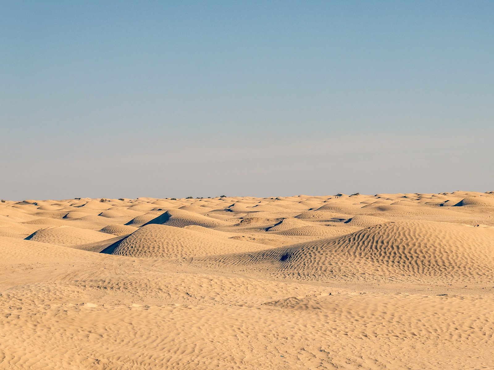 Sanddünen der Sahara bei Douz im Abendlicht