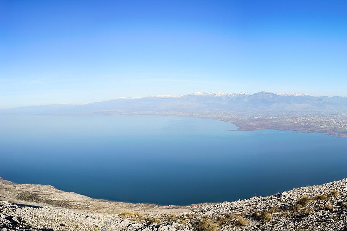 Ruhiges Wasser und Seerosen auf dem Skadar-See mit Klosterinsel