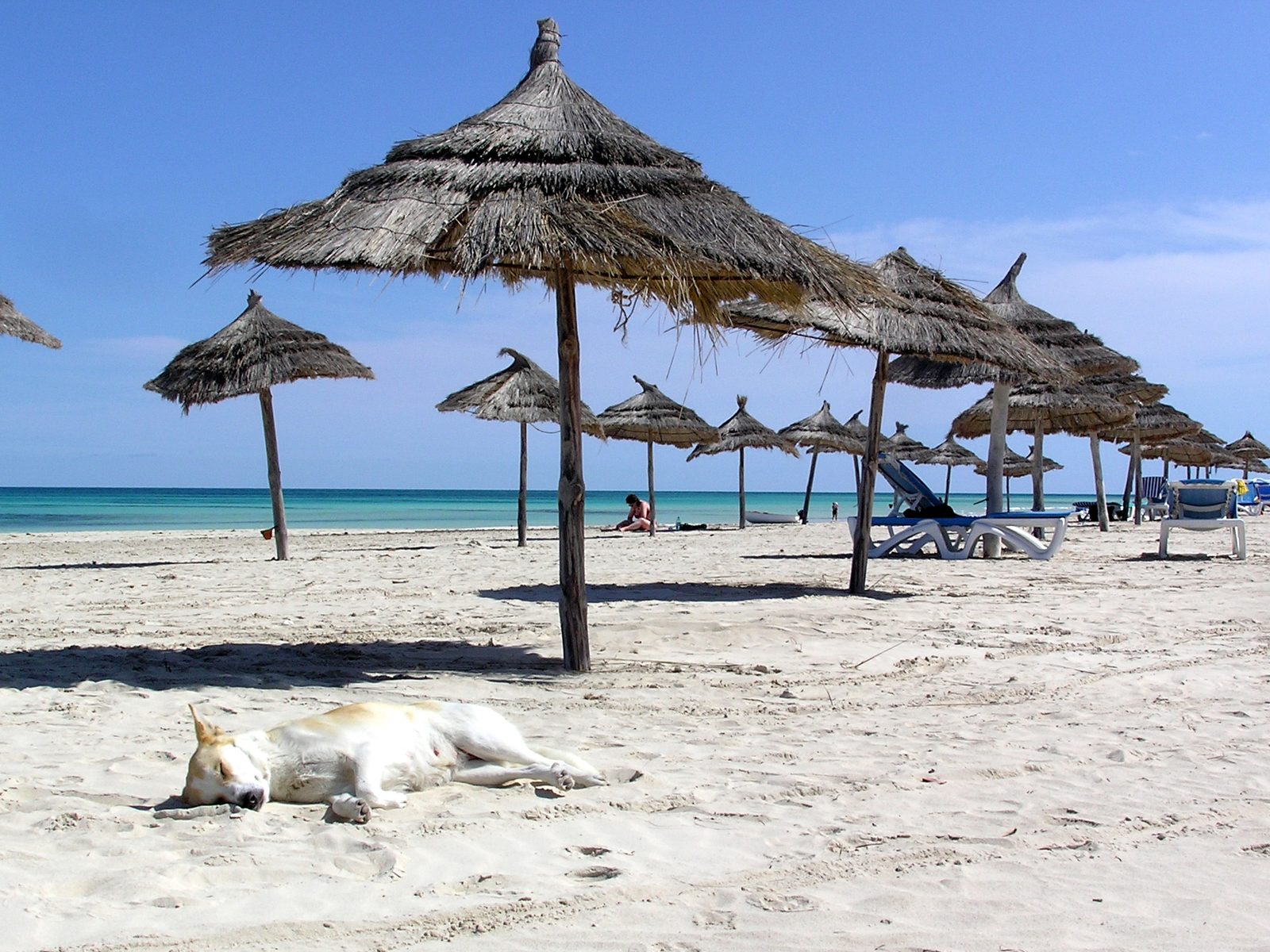Strohschirme am hellen Sandstrand von Djerba am Meer