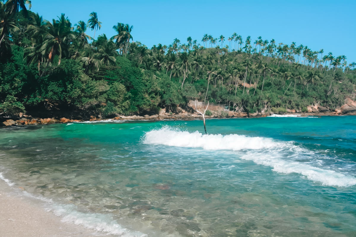 Türkisfarbene Bucht mit Palmen an der Südküste bei Mirissa
