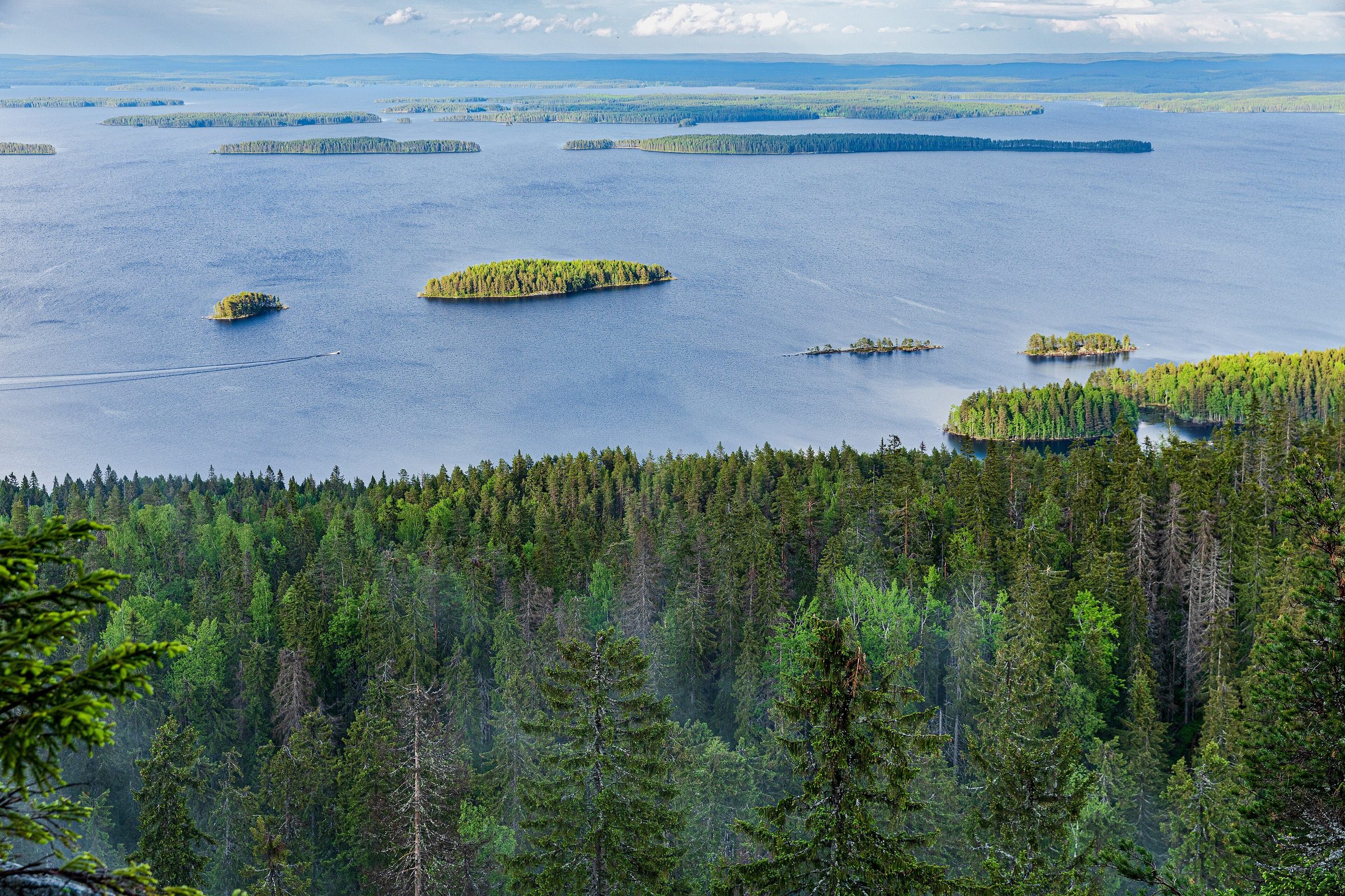 Seenlandschaft mit Wäldern und Inseln im Nationalpark Koli in Finnland