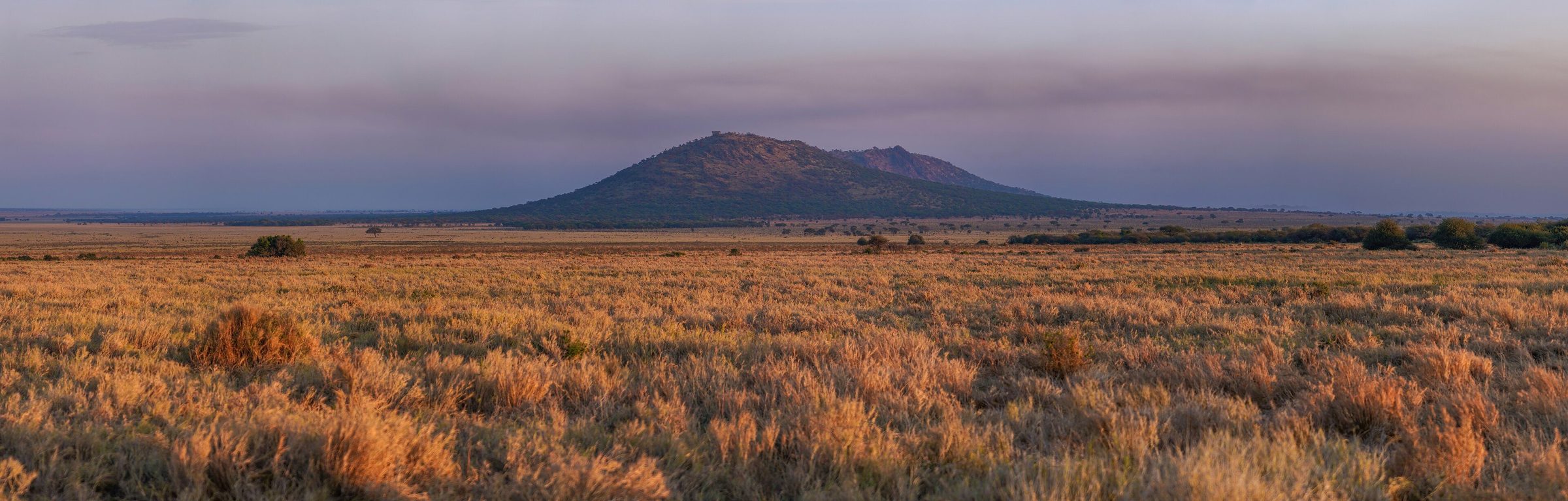 Sonnenaufgang über der weiten Savanne der Serengeti in Tansania