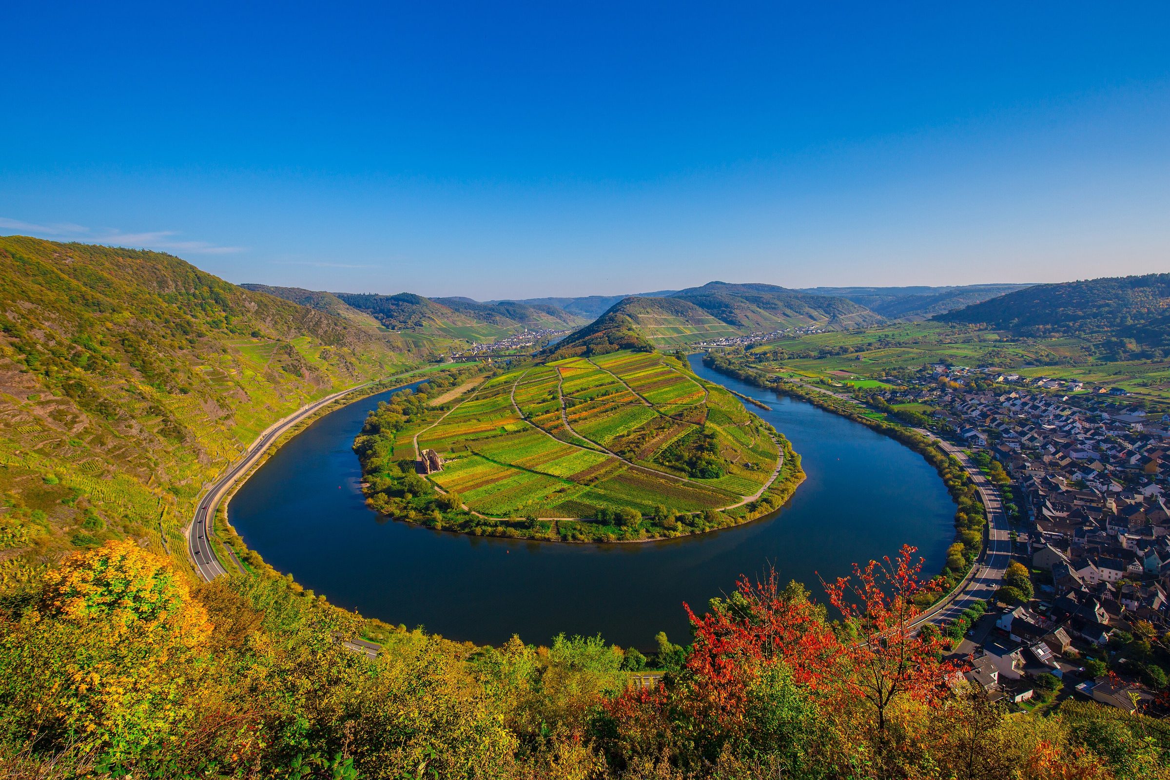 Die Moselschleife bei Bremm in Deutschland mit Weinbergen im Herbst