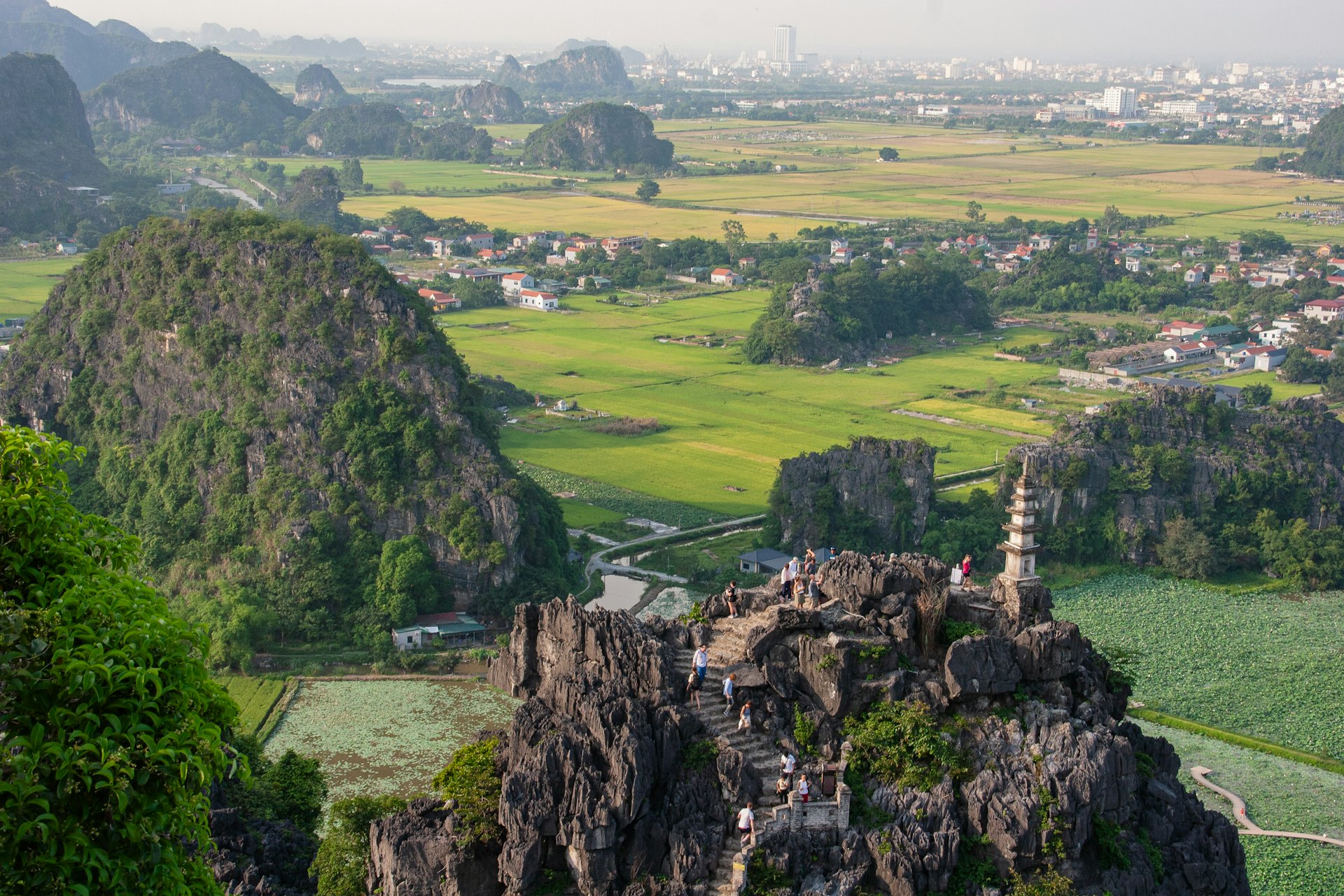 Karstfelsen und Reisfelder in Vietnam