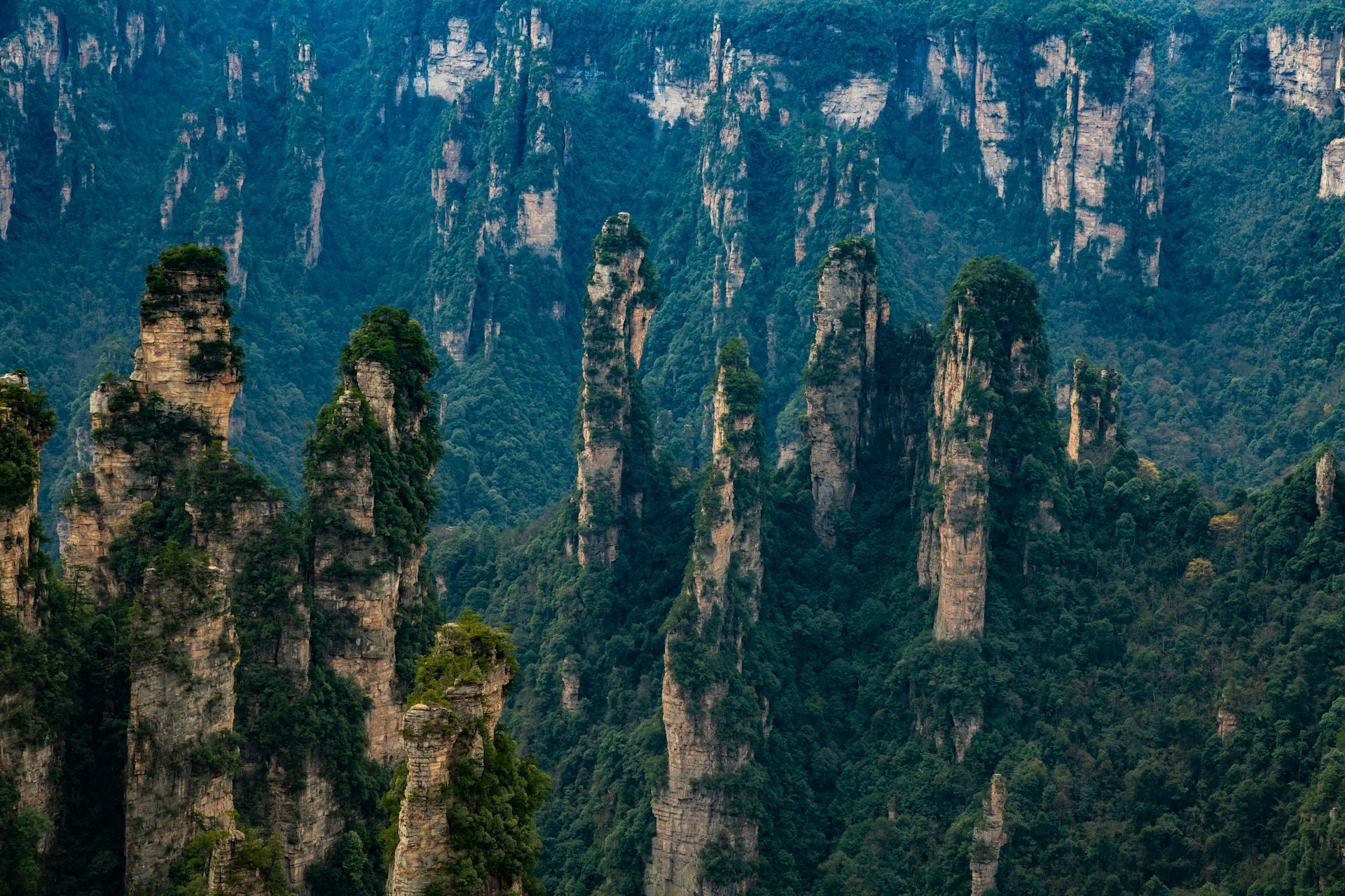 Steile Sandsteinsäulen der Berge von Zhangjiajie in China
