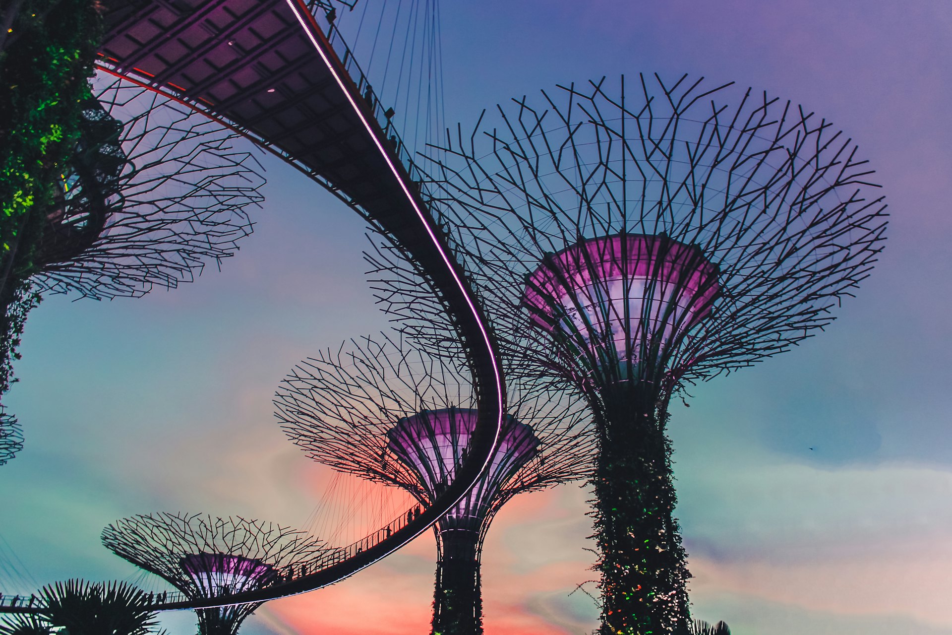 Gardens by the Bay in Singapur mit den Supertree-Strukturen