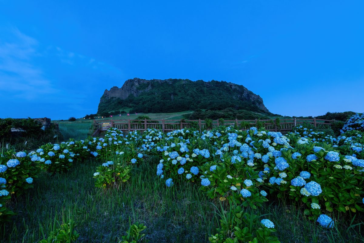 Routenstopp Jeju-Insel in Südkorea