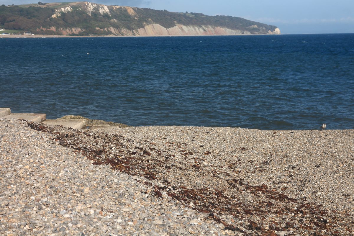 Routenstopp Jurassic Coast in Grossbritannien