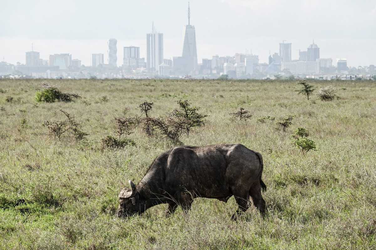 Routenstopp Nairobi in Kenia