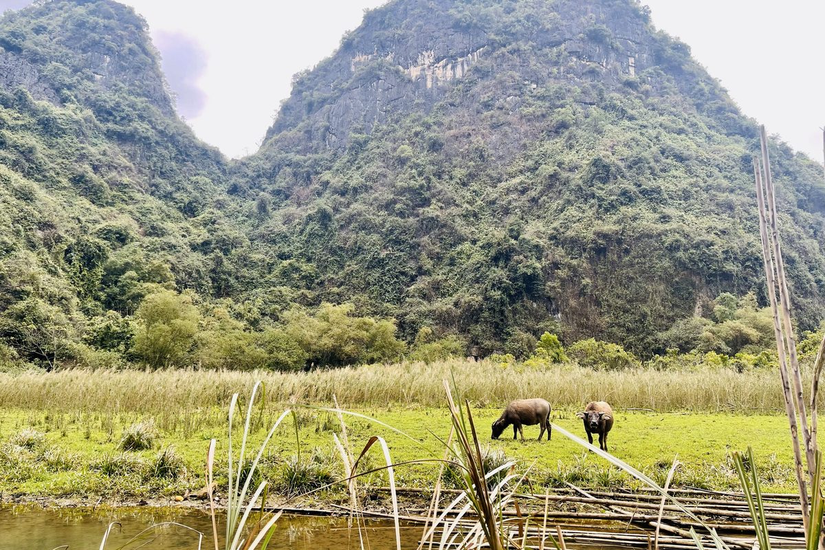 Routenstopp Ninh Binh in Vietnam