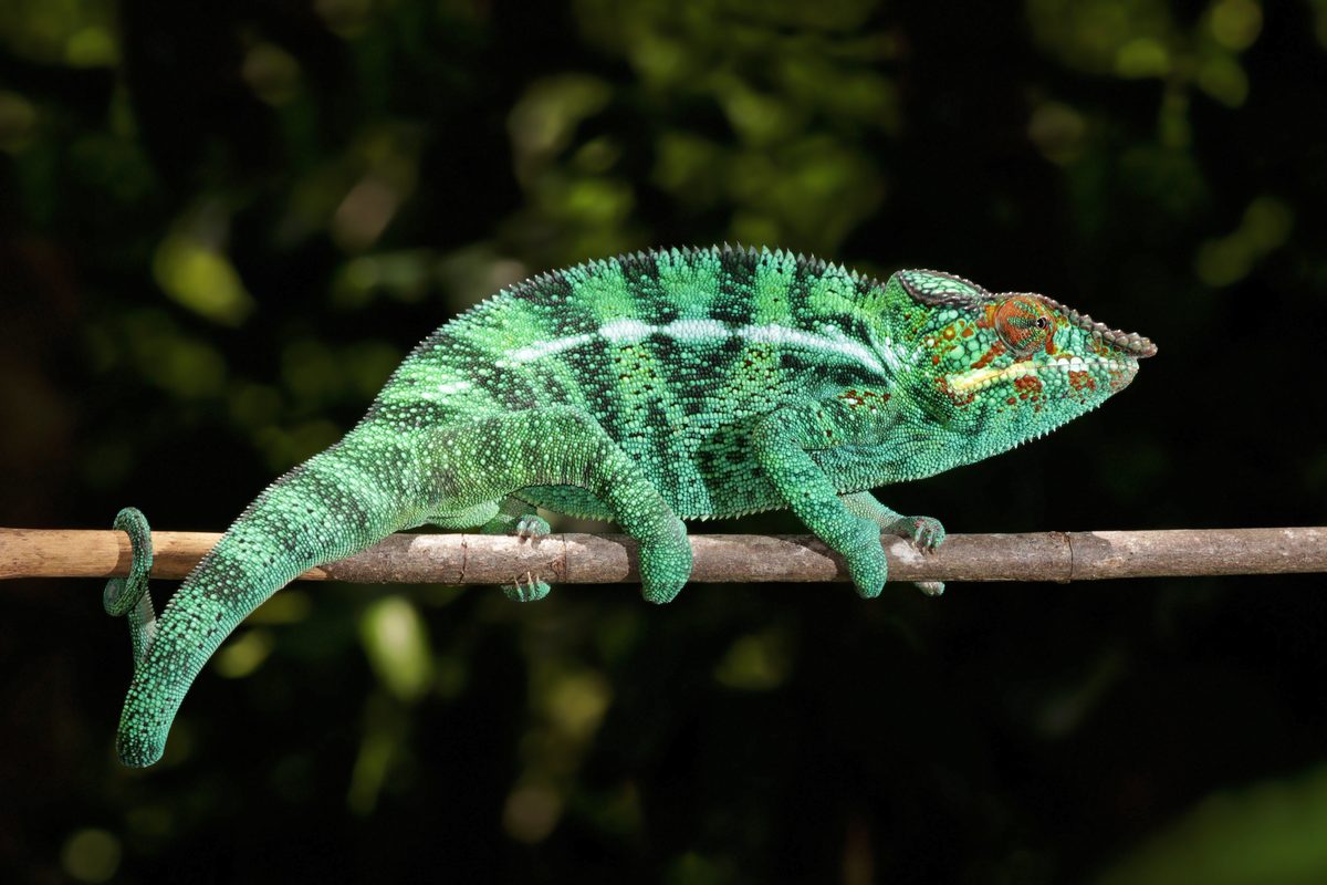 Routenstopp Nosy Be in Madagaskar
