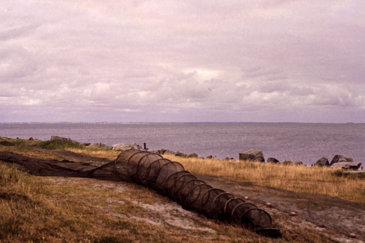 Routenstopp Ringkøbing in Dänemark
