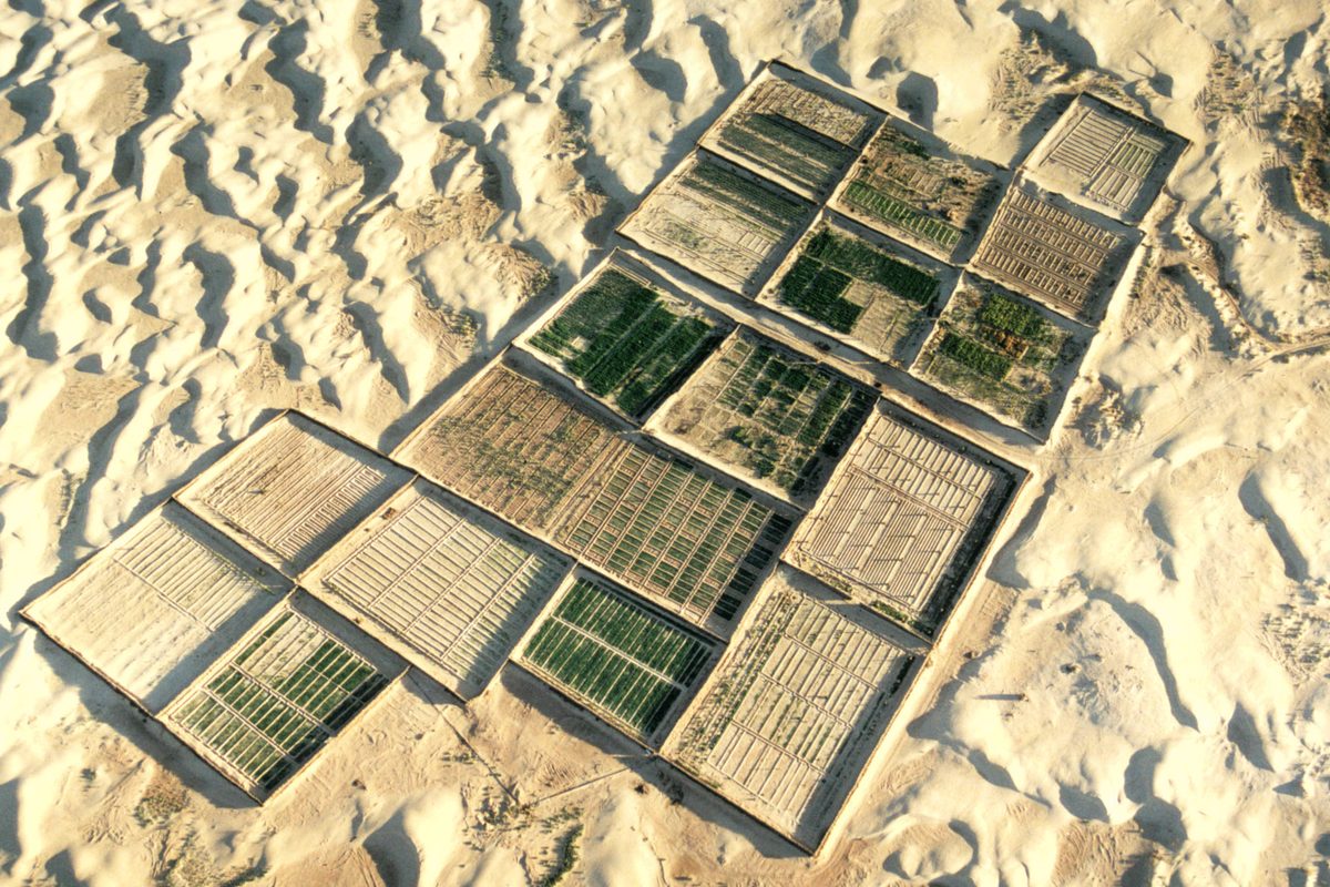Routenstopp Sahara (Douz & Tozeur) in Tunesien