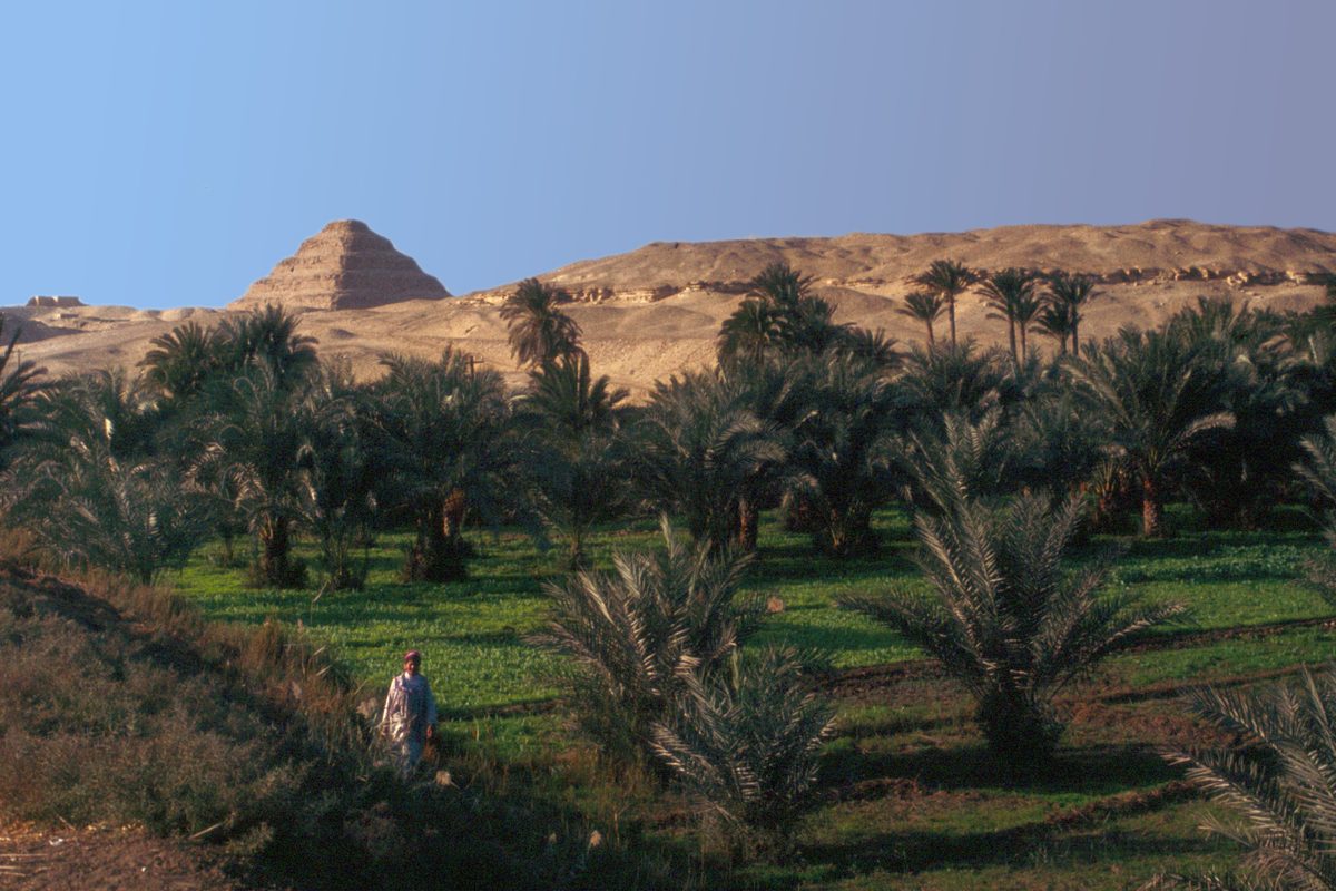 Routenstopp Sakkara in Ägypten