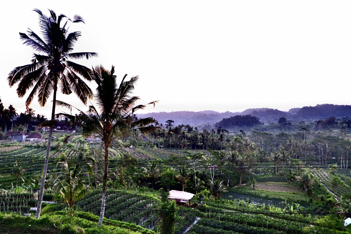 Routenstopp Sidemen in Indonesien