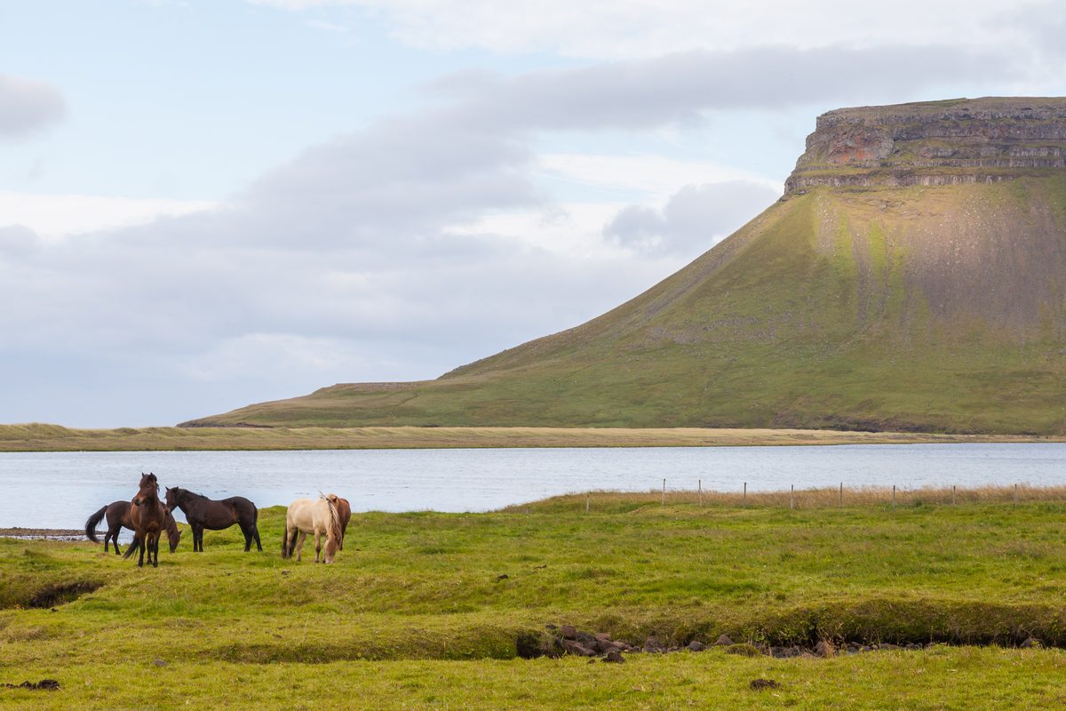 Routenstopp Snæfellsnes in Island