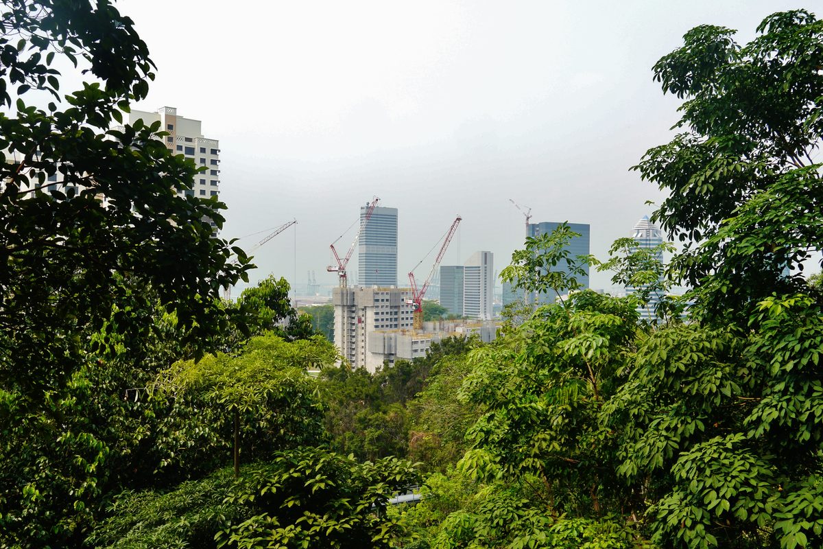 Routenstopp Southern Ridges / Pulau Ubin in Singapur