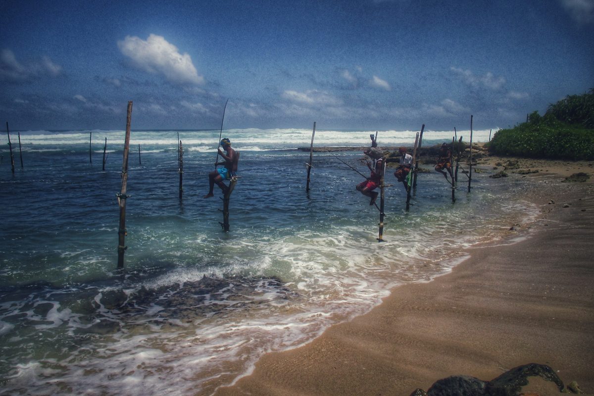 Routenstopp Südküste (Mirissa) in Sri Lanka