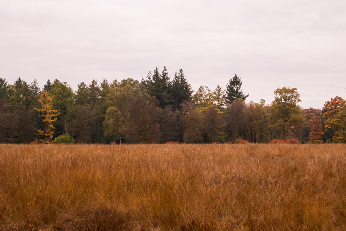 Routenstopp Veluwe in Niederlande