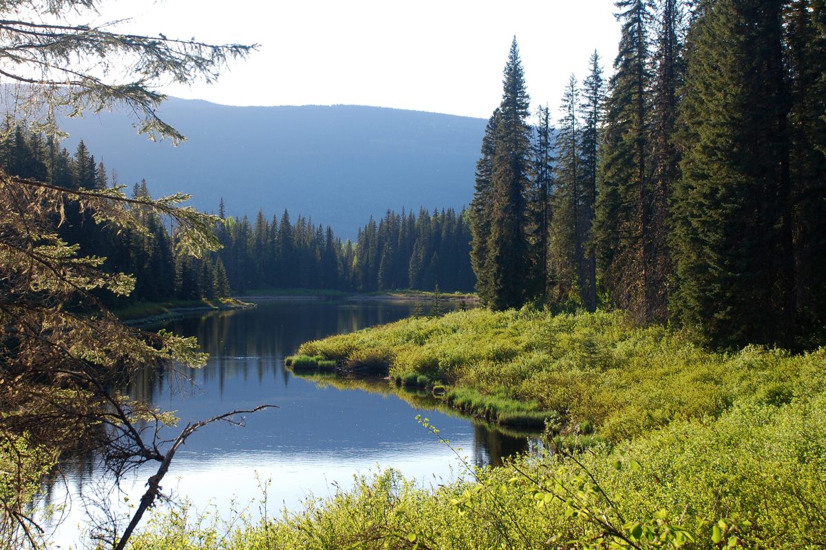 Routenstopp Wells Gray in Kanada